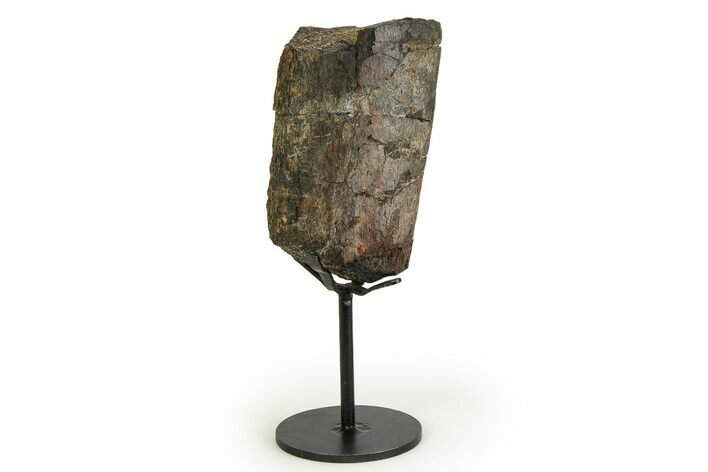 Fossil Sauropod Limb Bone Section with Metal Stand - Colorado #354329